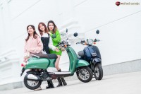 Xe Ga 50cc Dibao Creer Phanh Đĩa