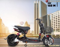 Xe Đạp Điện DK 133M Chạy 4 AQ 20A