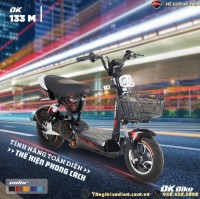 Xe Đạp Điện DK 133M Chạy 4 AQ 20A