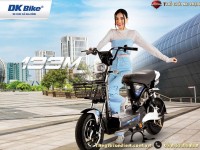 Xe Điện DK M133 ZBuff Đầy Dùng 4 Ắc Quy 24Ah
