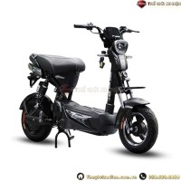 Xe Điện DK M133 ZBuff Đầy Dùng 4 Ắc Quy 24Ah