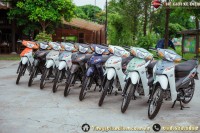 Xe Máy 50cc Wave Hyosung Korea Đời Mới 2024