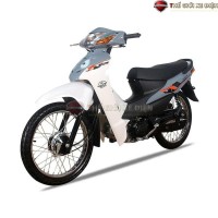 Xe Máy 50cc Wave Hyosung Korea Đời Mới 2024