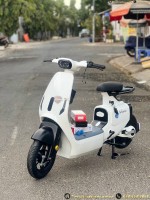 Xe Đạp Điện Dylexe VC K2 (VC V1) - 70KM 1 Lần Sạc
