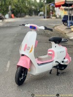Xe Đạp Điện Dylexe VC K2 (VC V1) - 70KM 1 Lần Sạc