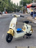 Xe Đạp Điện Dylexe VC K2 (VC V1) - 70KM 1 Lần Sạc