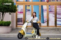 Xe Đạp Điện Dylexe VC K2 (VC V1) - 70KM 1 Lần Sạc