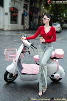 Xe Đạp Điện Dylexe VC K1 Đầy Đủ Giấy Tờ
