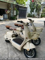 Xe Đạp Điện Dylexe VC K1 Đầy Đủ Giấy Tờ