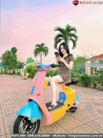 Xe Đạp Điện Dylexe VC K1 Đầy Đủ Giấy Tờ