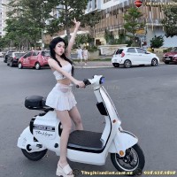 Xe Đạp Điện Dylexe VC K1 Đầy Đủ Giấy Tờ