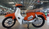 Xe Máy 50cc Cub Việt Thái Vành Đúc 2023