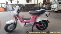 Xe Máy 50cc Chaly Việt Thái Mới Nhất