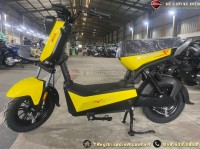 Xe Đạp Điện Xbull Việt Thái Mới Nhất 2024