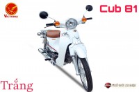 Xe Máy 50cc Cub Victoria 2023
