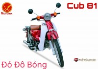 Xe Máy 50cc Cub Victoria 2023