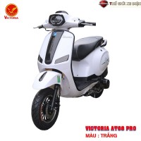 Xe Ga 50cc AT88 Pro Victoria Việt Nhật Đời Mới