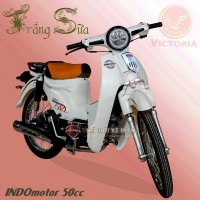 Xe Máy 50cc Cub Indo Victoria Việt Nhật