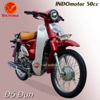 Xe Máy 50cc Cub Indo Victoria