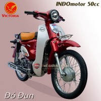 Xe Máy 50cc Cub Indo Victoria Việt Nhật