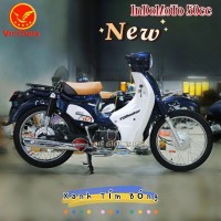 Xe Máy 50cc Cub Indo Victoria