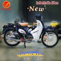 Xe Máy 50cc Cub Indo Victoria Việt Nhật