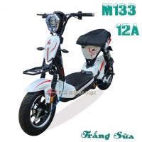 Xe Đạp Điện M133 Fashion Victoria Việt Nhật
