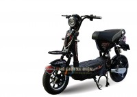 Xe Đạp Điện M133 Fashion Victoria Việt Nhật