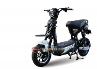 Xe Đạp Điện M133 Fashion Victoria Việt Nhật