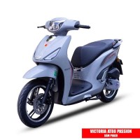 Xe Ga 50cc Victoria AT88 Passion