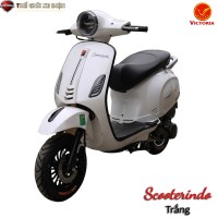 Xe ga 50cc Scooter Victoria Việt Nhật Đèn Tròn