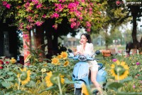 Xe Ga 50cc Vespa Ally A1