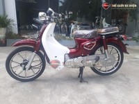 Xe Máy 50cc Cub New Ally Vành Đúc
