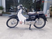 Xe Máy 50cc Cub New Ally
