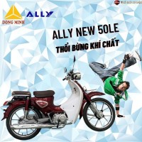 Xe Máy 50cc Cub New Ally Vành Đúc