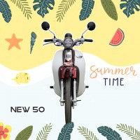 Xe Máy 50cc Cub New Ally Vành Đúc