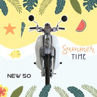 Xe Máy 50cc Cub New Ally Vành Đúc
