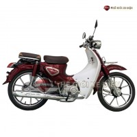 Xe Máy 50cc Cub New Ally Vành Đúc