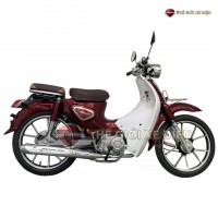 Xe Máy 50cc Cub New Ally 2023 Vành Đúc