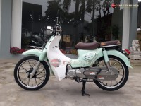 Xe Máy 50cc Cub New Ally Vành Đúc