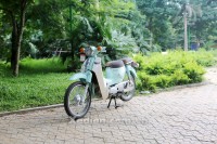 Xe Máy 50cc Cub New 50 Korea (Đèn LED)