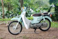 Xe Máy 50cc Cub New 50 Korea (Đèn LED)