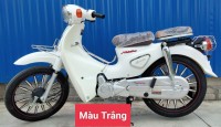 Xe Máy 50cc Cub Motor Thái Vành Đúc