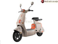 Xe Đạp Điện Dylexe VC K1 Đầy Đủ Giấy Tờ