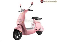 Xe Đạp Điện Dylexe VC K1 Đầy Đủ Giấy Tờ