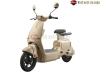 Xe Đạp Điện Dylexe VC K1 Đầy Đủ Giấy Tờ
