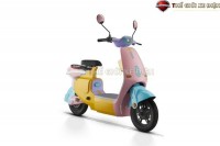 Xe Đạp Điện Dylexe VC K1 Đầy Đủ Giấy Tờ
