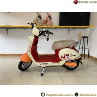 Xe Đạp Điện Dylexe Mima Dùng 4 Ắc Quy 20A