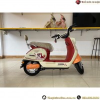 Xe Đạp Điện Dylexe Mima Dùng 4 Ắc Quy 20A