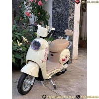 Xe Đạp Điện Dylexe Mima Dùng 4 Ắc Quy 20A